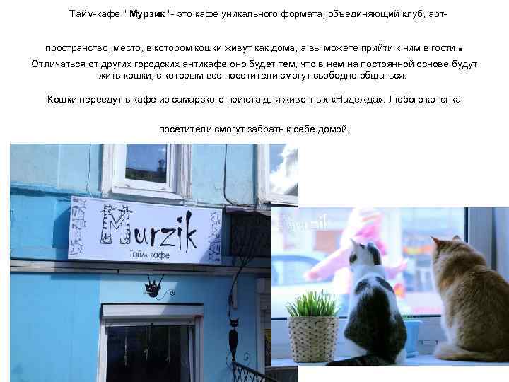  Тайм-кафе " Мурзик "- это кафе уникального формата, объединяющий клуб, арт- пространство, место,