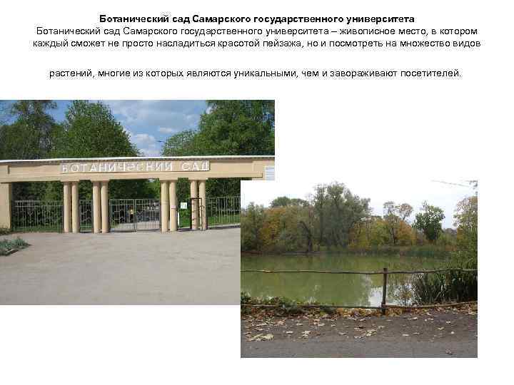 Ботанический сад Самарского государственного университета – живописное место, в котором каждый сможет не просто
