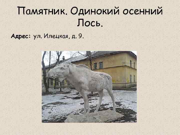 Памятник. Одинокий осенний Лось. Адрес: ул. Илецкая, д. 9. 