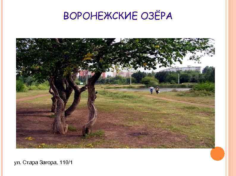 ВОРОНЕЖСКИЕ ОЗЁРА ул. Стара Загора, 110/1 