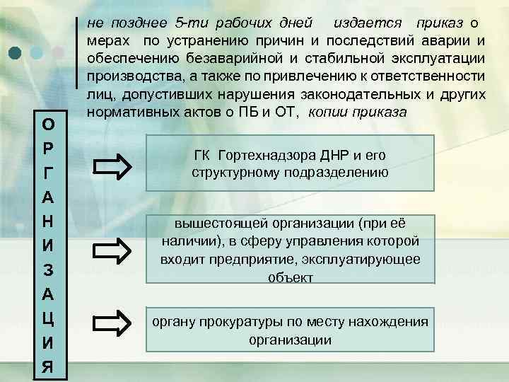 О Р Г А Н И З А Ц И Я не позднее 5