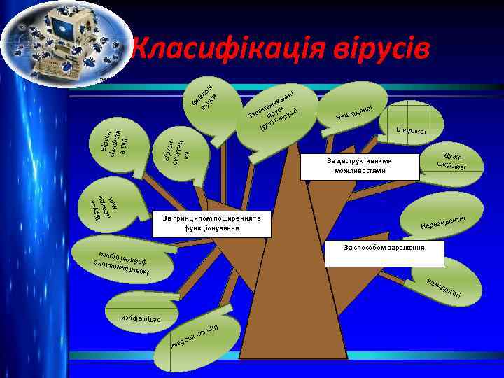 і льн ува ж нта си ) ава віру іруси З -в ОТ (ВО