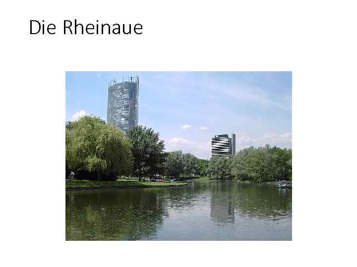 Die Rheinaue 