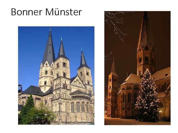 Bonner Münster 