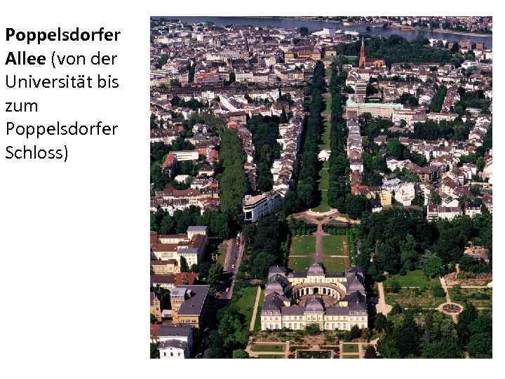 Poppelsdorfer Allee (von der Universität bis zum Poppelsdorfer Schloss) 