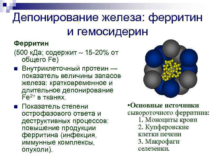 Анализ железа и ферритина в чем разница