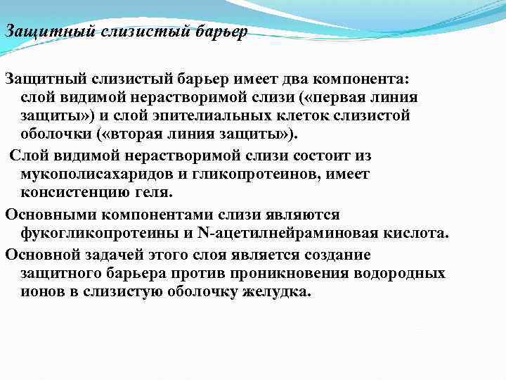 Защитный слизистый барьер имеет два компонента: слой видимой нерастворимой слизи ( «первая линия защиты»