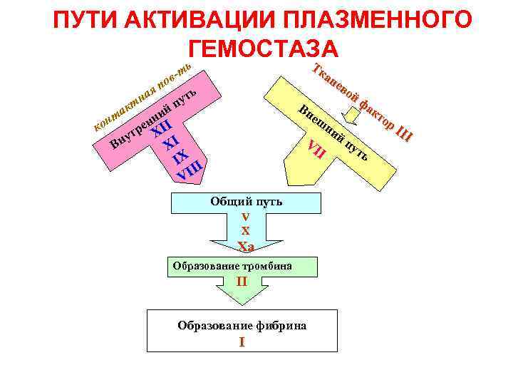 ПУТИ АКТИВАЦИИ ПЛАЗМЕННОГО ГЕМОСТАЗА Тк ан ев ой фа Вн кт еш ор ни