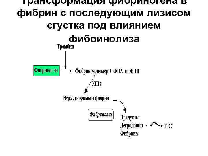 Схема образования фибринового тромба