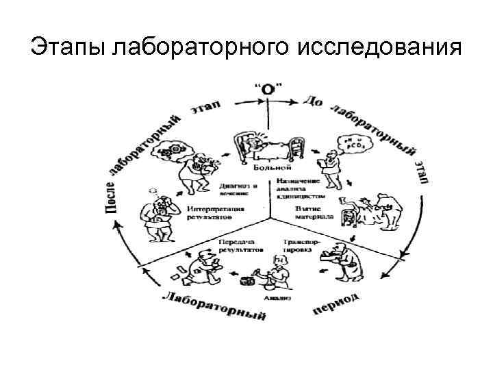 Этапы лабораторного исследования 