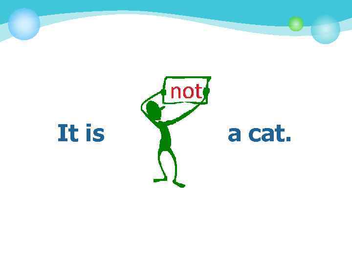 It is a cat. 