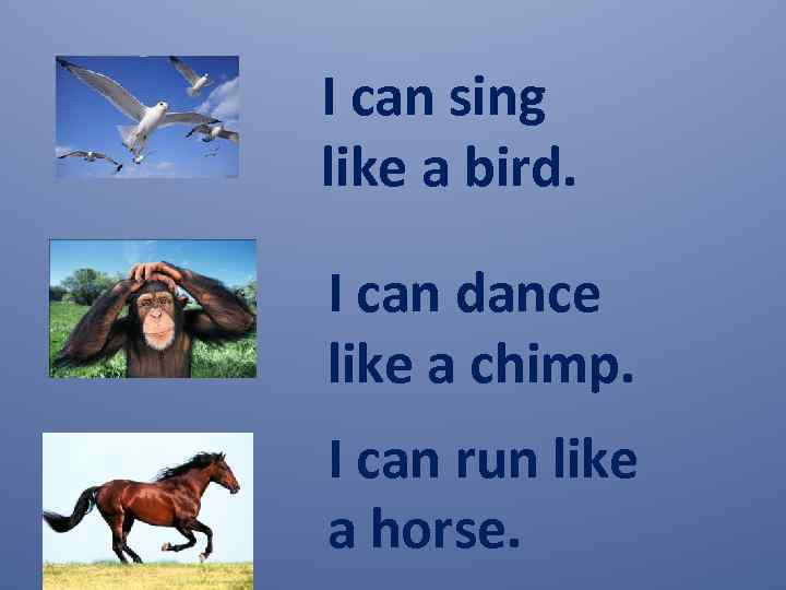 I can sing like a bird. I can dance like a chimp. I can