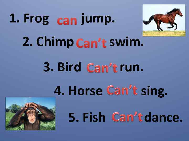 A chimp can sing. Что не умеют делать животные на английском. Напиши что умеют делать животные английский. Напишите что умеют делать животные. Английский 2 класс что не умеют делать животные.