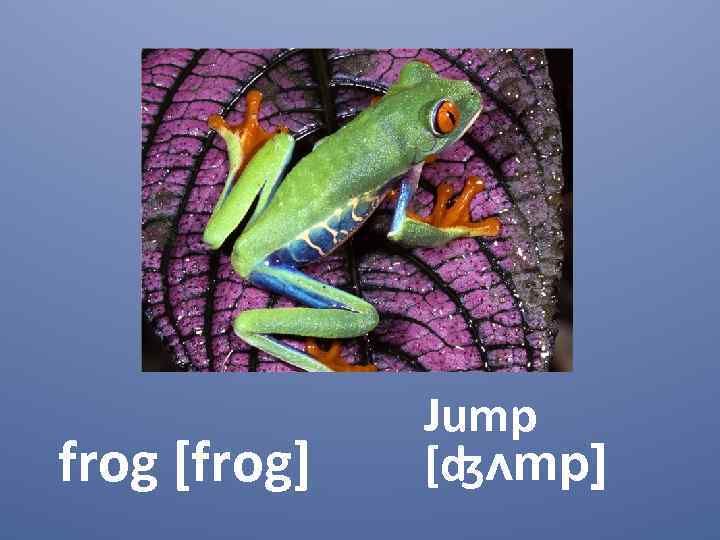 frog [frog] Jump [ʤᴧmp] 