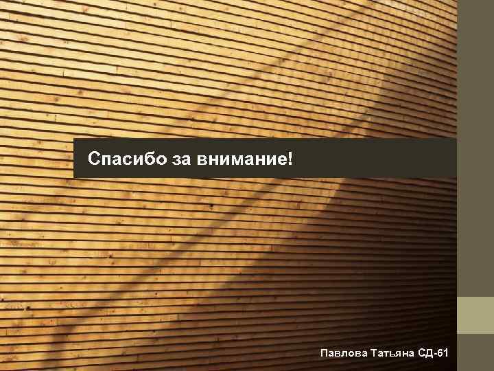 Спасибо за внимание! Павлова Татьяна СД-61 