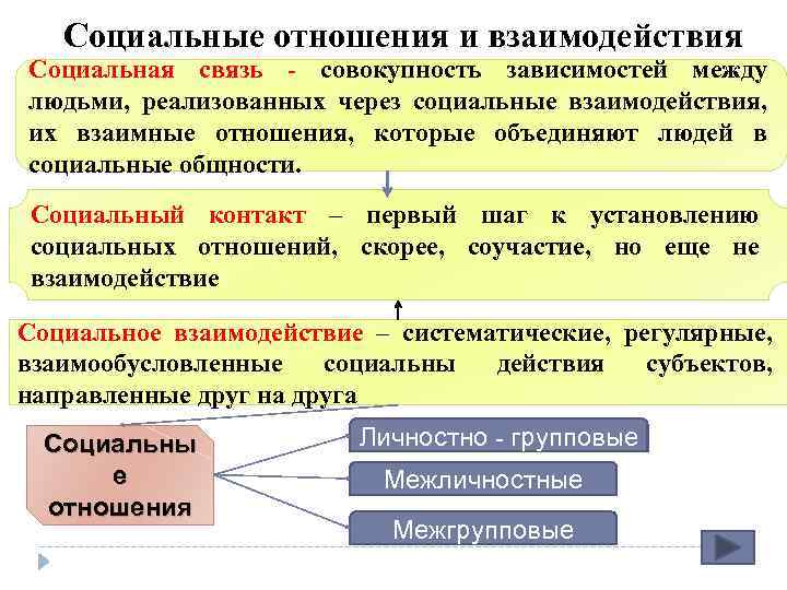 План социальное взаимодействие