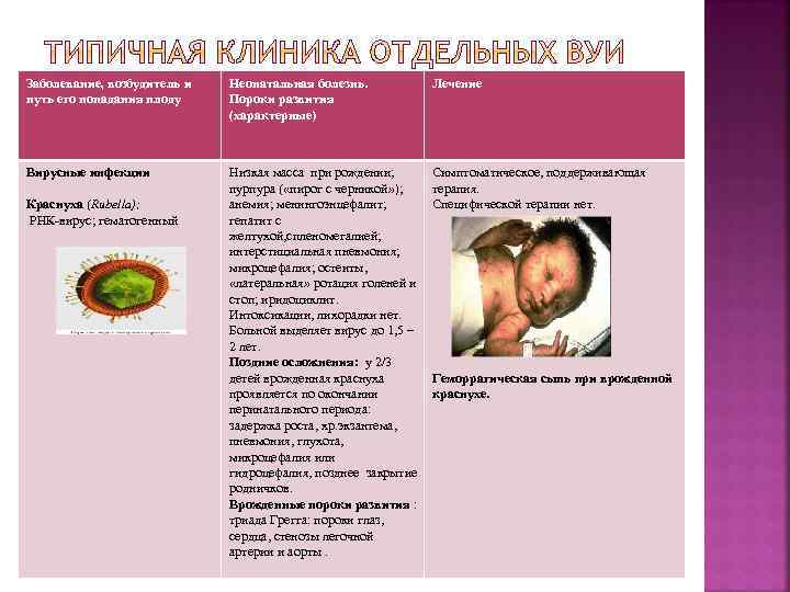 Заболевание, возбудитель и путь его попадания плоду Неонатальная болезнь. Пороки развития (характерные) Лечение Низкая
