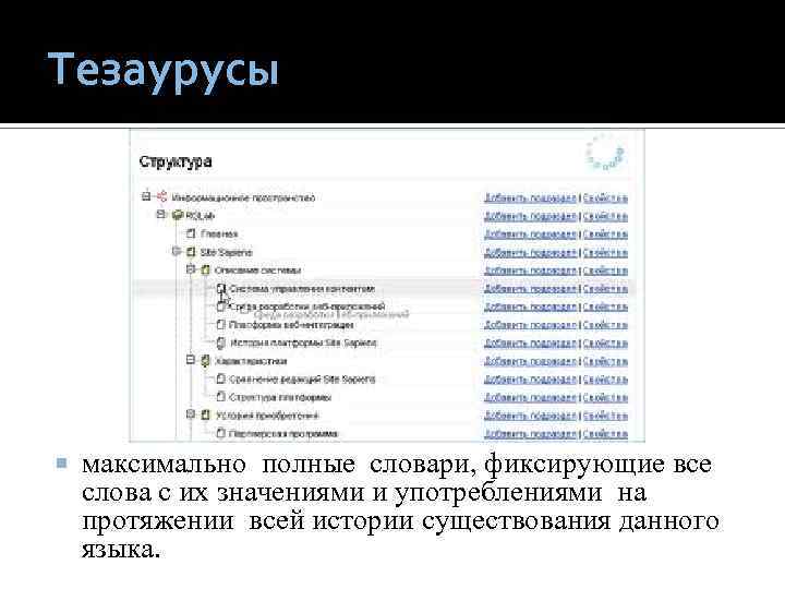 Тезаурусы максимально полные словари, фиксирующие все слова с их значениями и употреблениями на протяжении