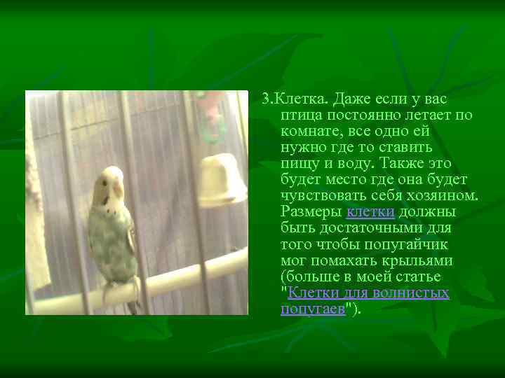 3. Клетка. Даже если у вас птица постоянно летает по комнате, все одно ей