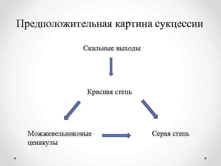 Предположительная картина сукцессии Скальные выходы Красная степь Можжевельниковые ценакулы Серая степь 