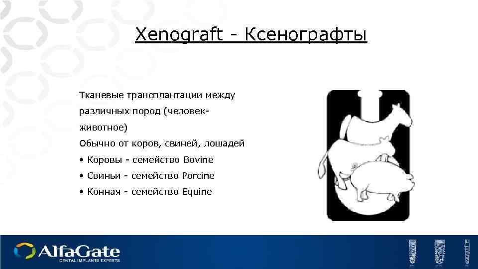 Xenograft - Ксенографты Тканевые трансплантации между различных пород (человекживотное) Обычно от коров, свиней, лошадей