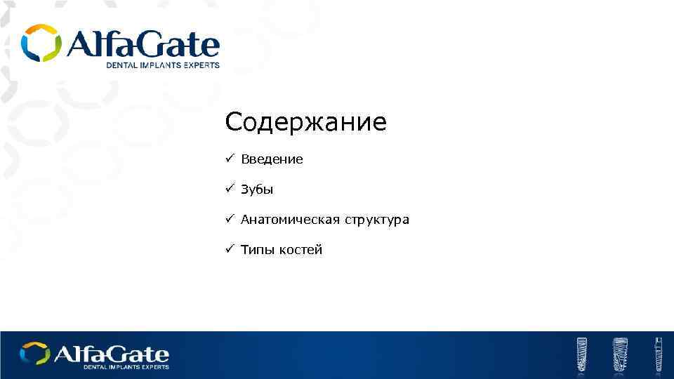 Содержание ü Введение ü Зубы ü Анатомическая структура ü Типы костей 