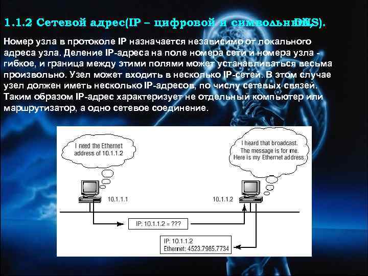 1. 1. 2 Сетевой адрес(IP – цифровой и символьный, DNS). Номер узла в протоколе