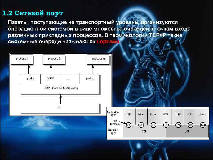 1. 2 Сетевой порт Пакеты, поступающие на транспортный уровень, организуются операционной системой в виде