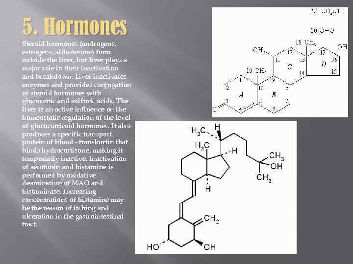 5. Hormones Steroid hormones (androgens, estrogens, aldosterone) form outside the liver, but liver plays