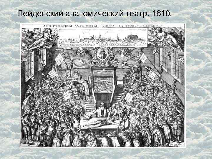 Лейденский анатомический театр. 1610. 