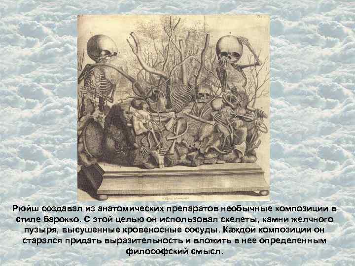 Рюйш создавал из анатомических препаратов необычные композиции в стиле барокко. С этой целью он