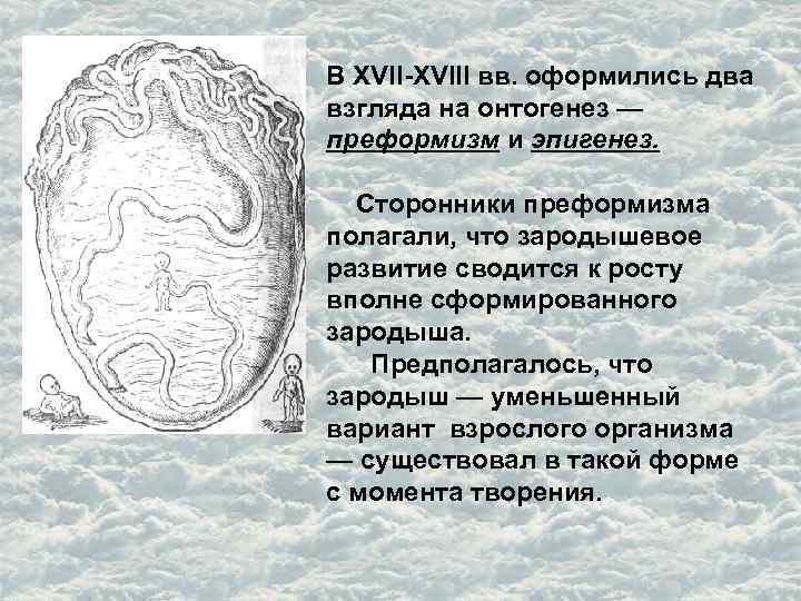 Эпигенез. Теория эпигенеза в эмбриологии. Теория преформизма и эпигенеза. Сторонники теории эпигенеза:. Концепции онтогенеза преформизм эпигенез.