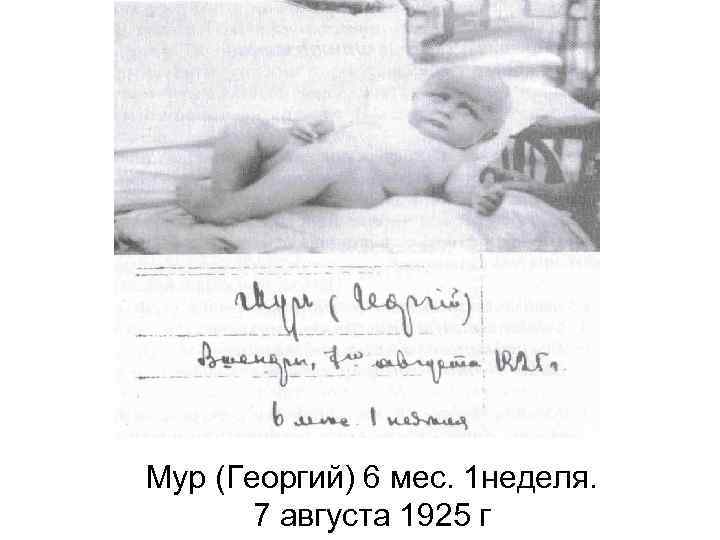Мур (Георгий) 6 мес. 1 неделя. 7 августа 1925 г 