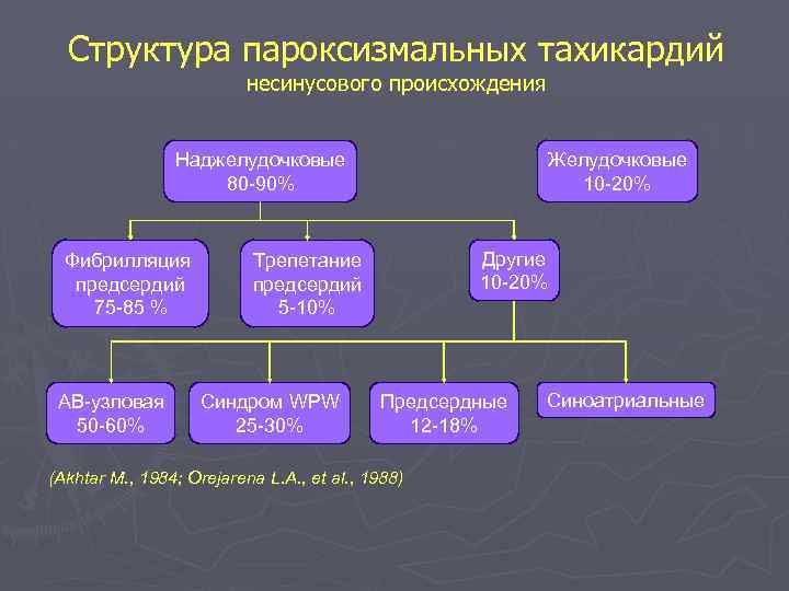 Структура пароксизмальных тахикардий несинусового происхождения Наджелудочковые 80 -90% Фибрилляция предсердий 75 -85 % АВ-узловая