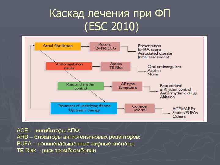 Каскад лечения при ФП (ESC 2010) ACEI – ингибиторы АПФ; ARB – блокаторы ангиотензиновых