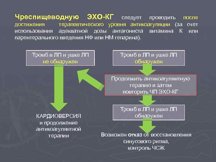 Чреспищеводную ЭХО-КГ следует проводить после достижения терапевтического уровня антикоагуляции (за счет использования адекватной дозы