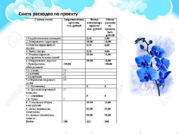 Смета расходов по проекту 