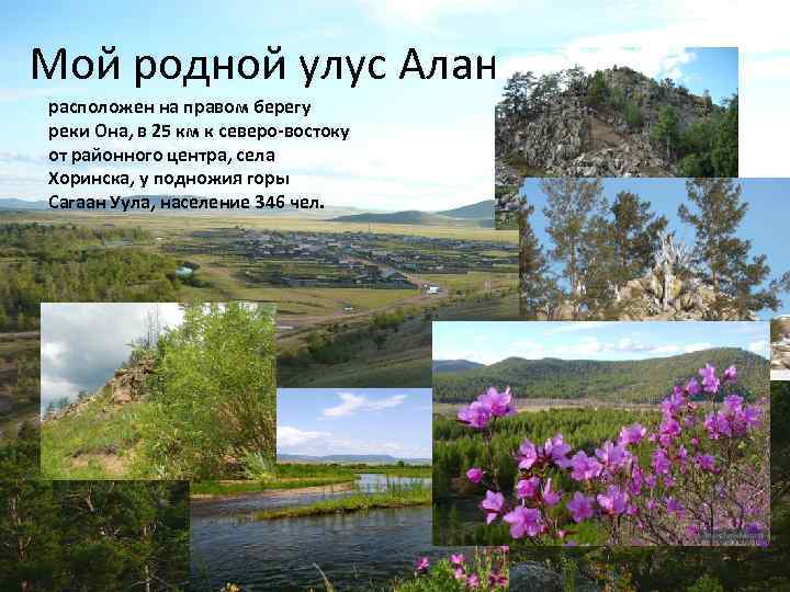 Мой родной улус Алан расположен на правом берегу реки Она, в 25 км к