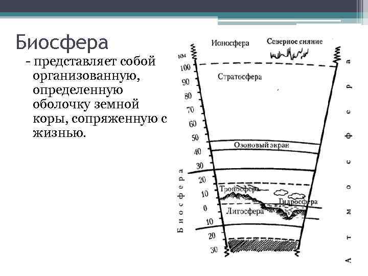 Биосфера - представляет собой организованную, определенную оболочку земной коры, сопряженную с жизнью. 