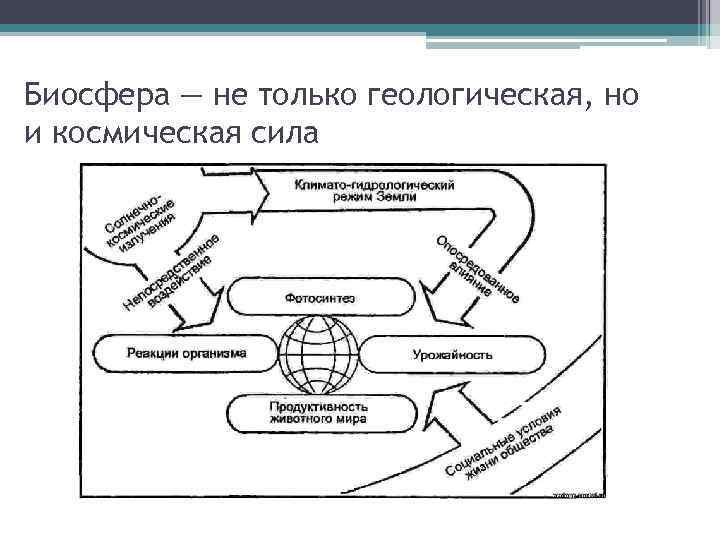 Биосфера — не только геологическая, но и космическая сила 