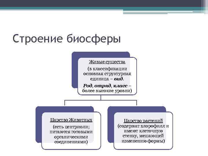 Строение биосферы Живые существа (в классификации основная структурная единица – вид. Род, отряд, класс