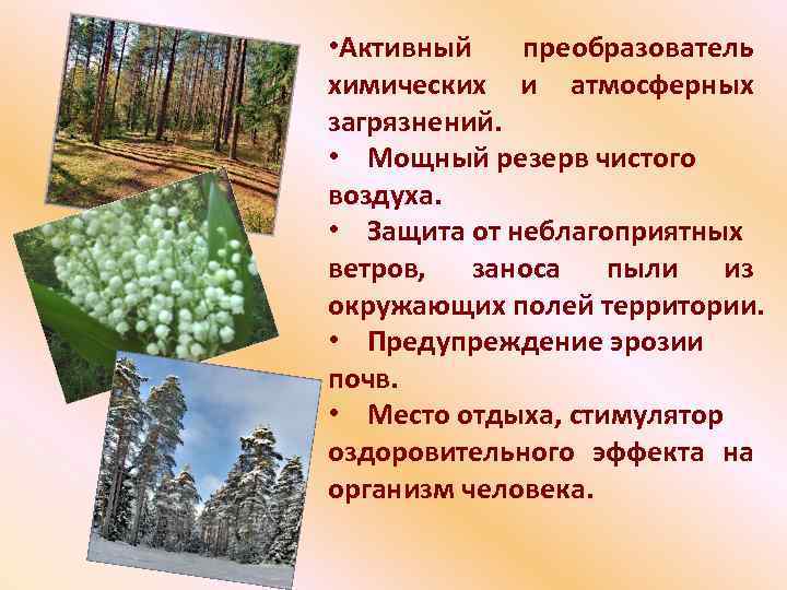  • Активный преобразователь химических и атмосферных загрязнений. • Мощный резерв чистого воздуха. •