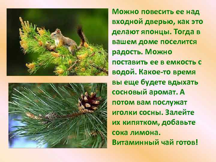 Можно повесить ее над входной дверью, как это делают японцы. Тогда в вашем доме