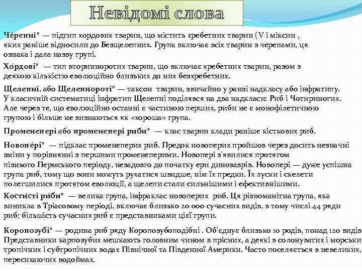 Невідомі слова Че репні* — підтип хордових тварин, що містить хребетних тварин (V і