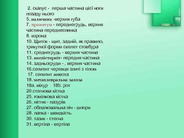  2. скапус - перша частина цієї ноги позаду нього 5. наличник -верхня губа