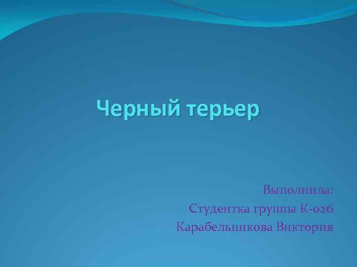 Черный терьер Выполнила: Студентка группы К-026 Карабельникова Виктория 