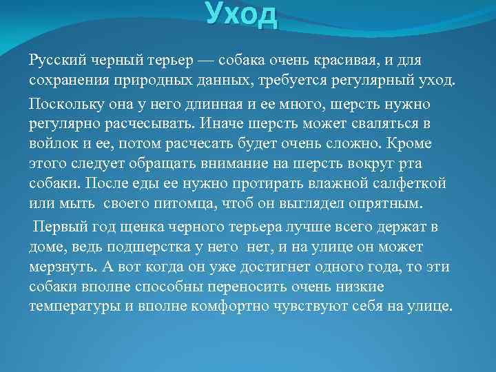 Уход Русский черный терьер — собака очень красивая, и для сохранения природных данных, требуется