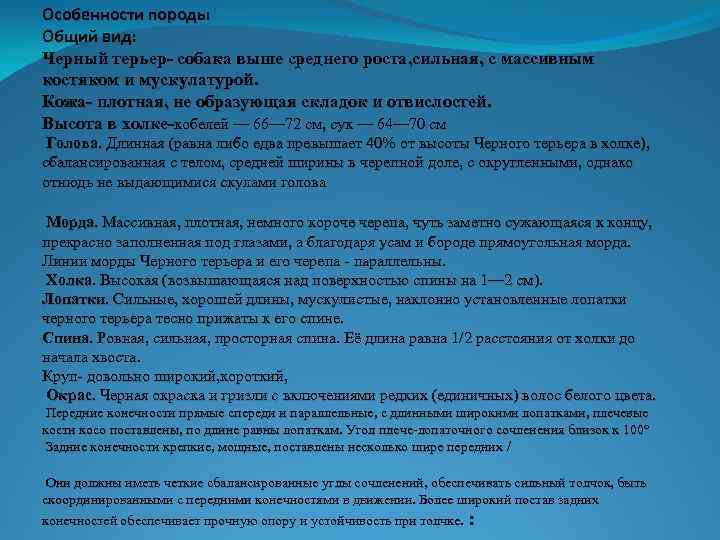 Особенности породы Общий вид: Черный терьер- собака выше среднего роста, cильная, c массивным костяком