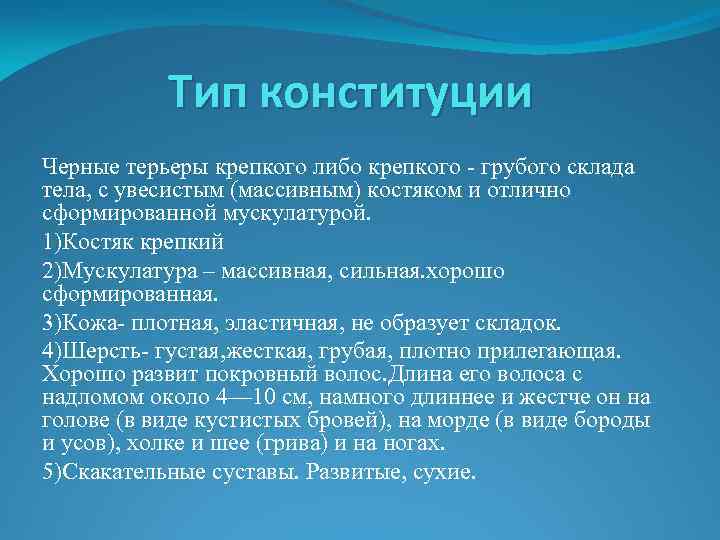 Тип конституции Черные терьеры крепкого либо крепкого - грубого склада тела, с увесистым (массивным)