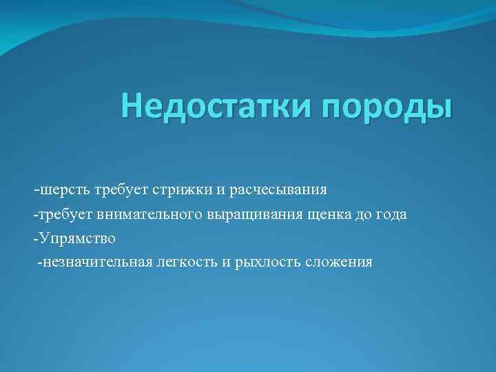 Недостатки породы -шерсть требует стрижки и расчесывания -требует внимательного выращивания щенка до года -Упрямство